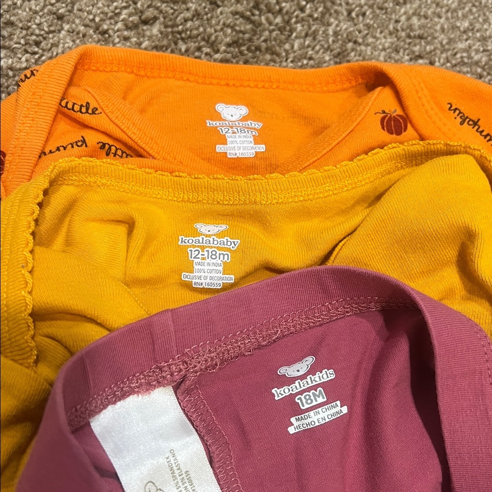 Koala Baby Pumpkin Spice Baby Bodysuit and Leggings Set 18M - Picture 7 of 7